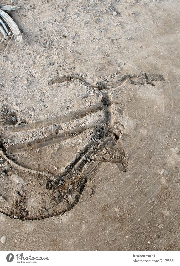 Unterm Rad Fahrrad liegen außergewöhnlich Zerstörung kaputt Eindruck Gedeckte Farben Außenaufnahme Menschenleer Textfreiraum oben Vogelperspektive Spuren