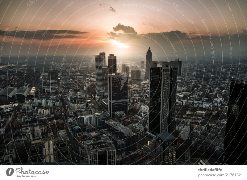 Frankfurt, Skyline am Abend Frankfurt am Main Stadt Stadtzentrum Haus Hochhaus Bankgebäude Bahnhof Straße Straßenkreuzung ästhetisch kalt rot schwarz Business