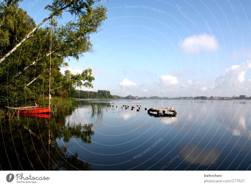 heile welt Ferien & Urlaub & Reisen Ferne Freiheit Umwelt Natur Landschaft Wasser Himmel Wolken Frühling Sommer Klimawandel Schönes Wetter Baum Wald Seeufer