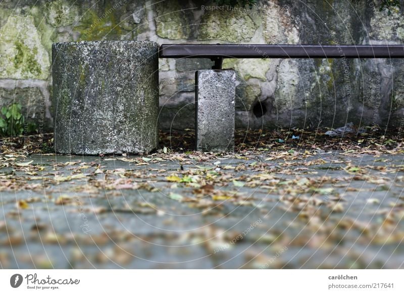 Oase Ost Menschenleer Mauer Wand grau grün Bank Müllbehälter Schwache Tiefenschärfe Sitzgelegenheit Moos schäbig Ostzone Erinnerung ruhend Pause Herbstlaub