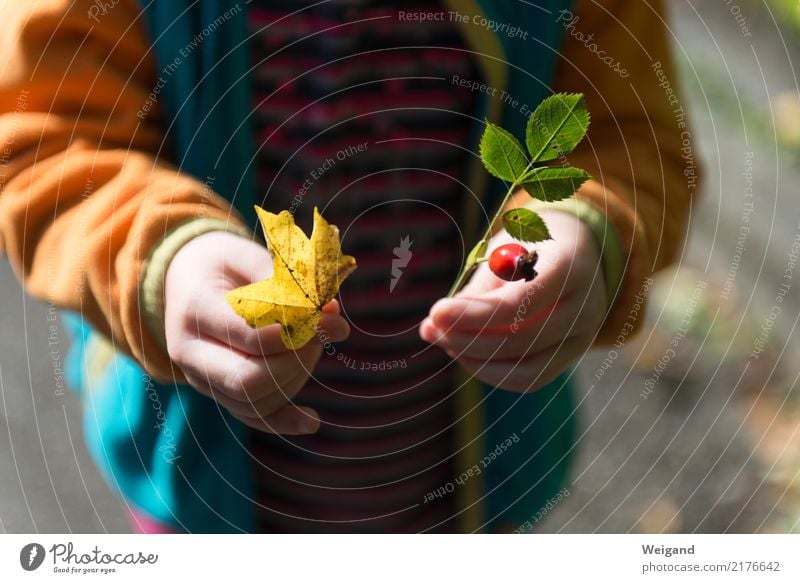 Fundbüro II harmonisch Wohlgefühl Zufriedenheit Sinnesorgane Erholung ruhig Meditation Duft Kinderspiel Kindererziehung Kindergarten Schule lernen Mädchen 1