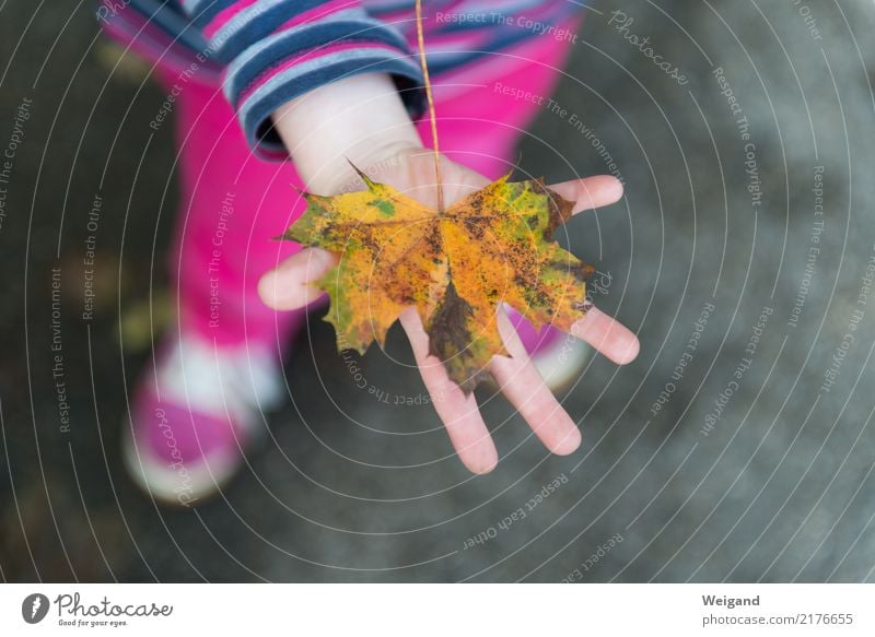 Goldstück Kindererziehung Kindergarten Kleinkind Hand 1 Mensch 1-3 Jahre 3-8 Jahre Kindheit berühren Lächeln mehrfarbig gelb rosa achtsam Gelassenheit geduldig