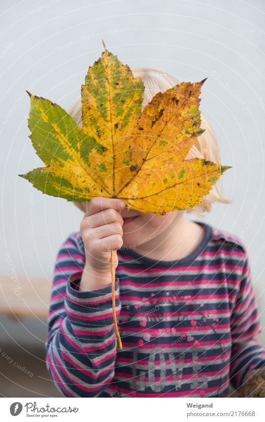 Herbstkind harmonisch Kindererziehung Kindergarten lernen Mensch Kleinkind Mädchen Familie & Verwandtschaft Kindheit 3-8 Jahre beobachten Wachstum Glück