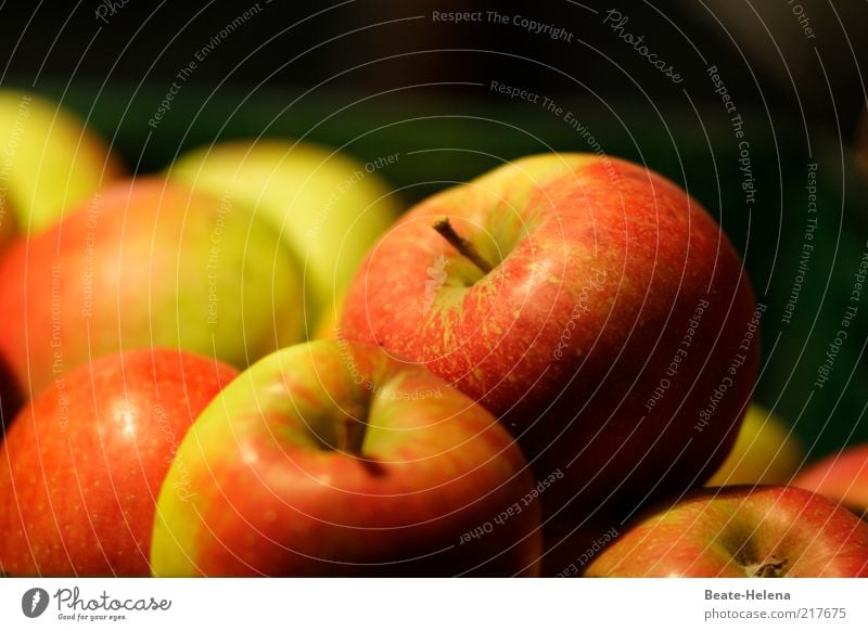 An apple a day keeps the doctor away Apfel Ernährung Bioprodukte Vegetarische Ernährung Gesundheit Leben Herbst Diät rot Lebensfreude Qualität Apfelernte