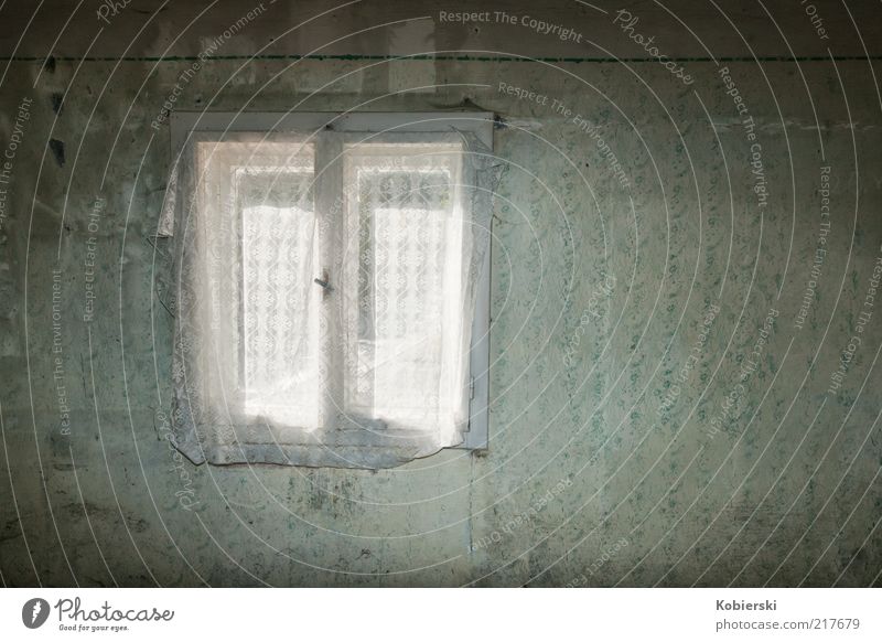 Blick zurück Wohnung Tapete Fenster Hütte Mauer Wand warten Häusliches Leben alt Armut einfach kaputt blau grau grün bescheiden zurückhalten Traurigkeit