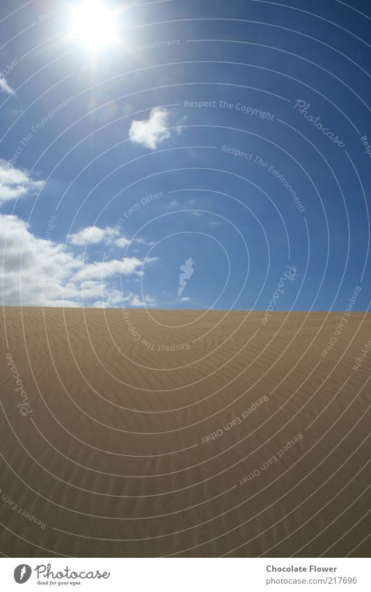 Wüstensonne Landschaft Sand Himmel Wolken Sonne Schönes Wetter Hügel Natur Farbfoto Außenaufnahme Menschenleer Tag Kontrast Sonnenlicht Textfreiraum unten