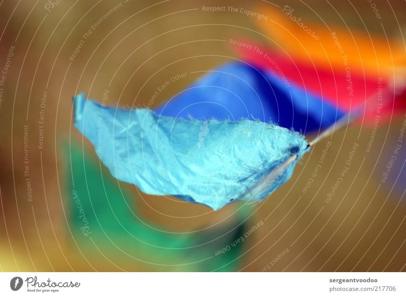 Fahne im Wind Sommer Zeichen Bewegung Feste & Feiern hängen Spielen träumen ästhetisch dünn fantastisch fest frech frei Freundlichkeit Fröhlichkeit