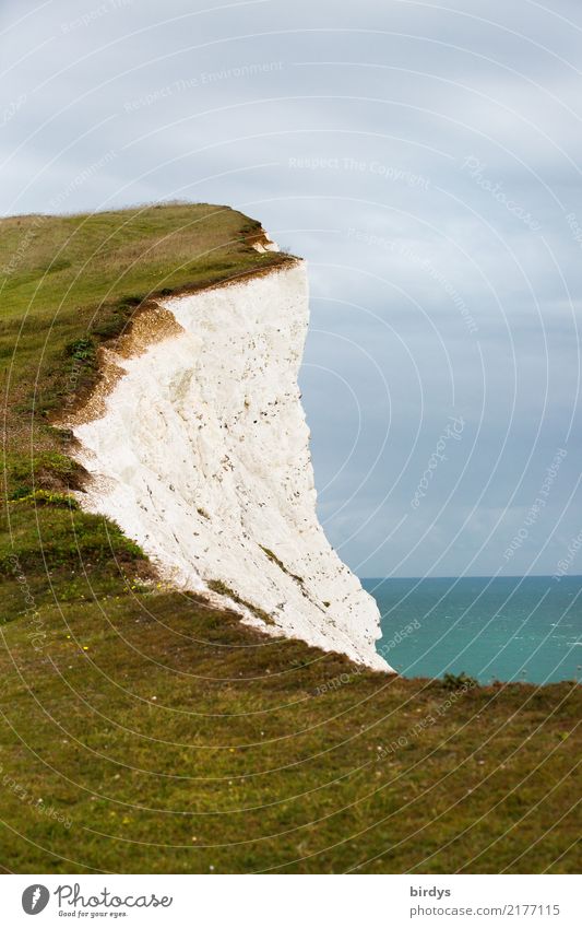 Kreidecliff - am Abgrund Landschaft Wolken Horizont Sommer Herbst Wiese Küste Meer Atlantik Klippe Kreidefelsen authentisch bedrohlich hoch natürlich Sicherheit