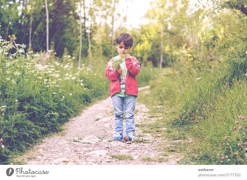 Kind mit Blumen im Frühling Lifestyle Freude Mensch maskulin Kleinkind Junge Kindheit 1 3-8 Jahre Umwelt Natur Pflanze Garten Park Feld Denken Fröhlichkeit