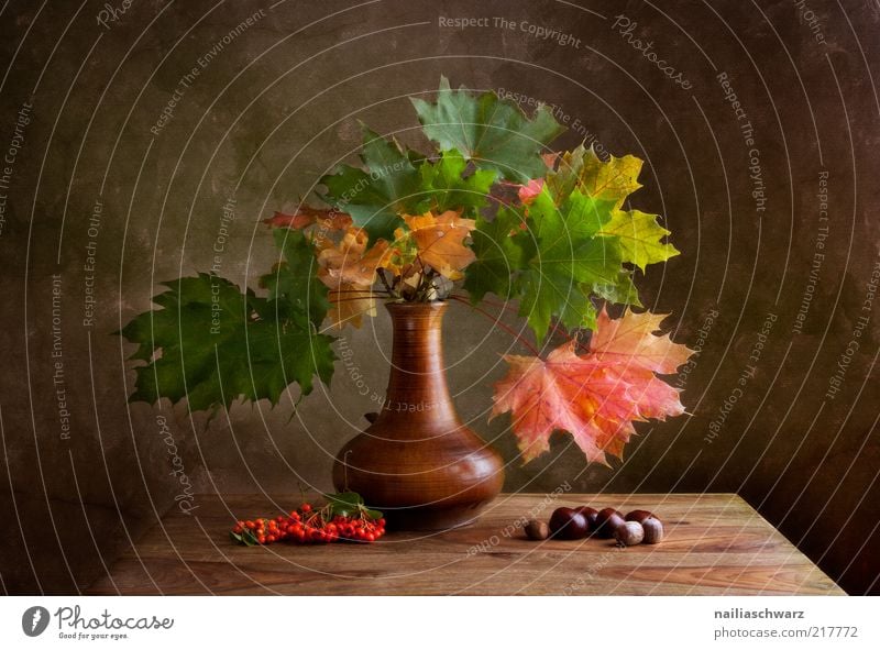 Herbst Kunst Kunstwerk Gemälde Natur Pflanze Ahorn Beeren Vogelbeeren Kastanie Stein Holz alt ästhetisch braun gold grün rot Idylle Stillleben Erntedankfest