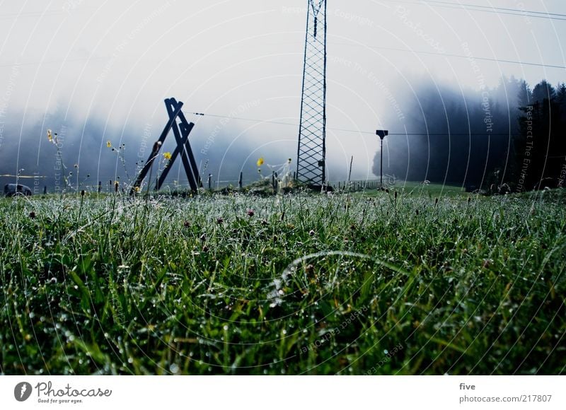 going am wilden kaiser Umwelt Natur Landschaft Wassertropfen Himmel Wolken schlechtes Wetter Nebel Pflanze Baum Blume Gras Sträucher Blatt Grünpflanze Garten