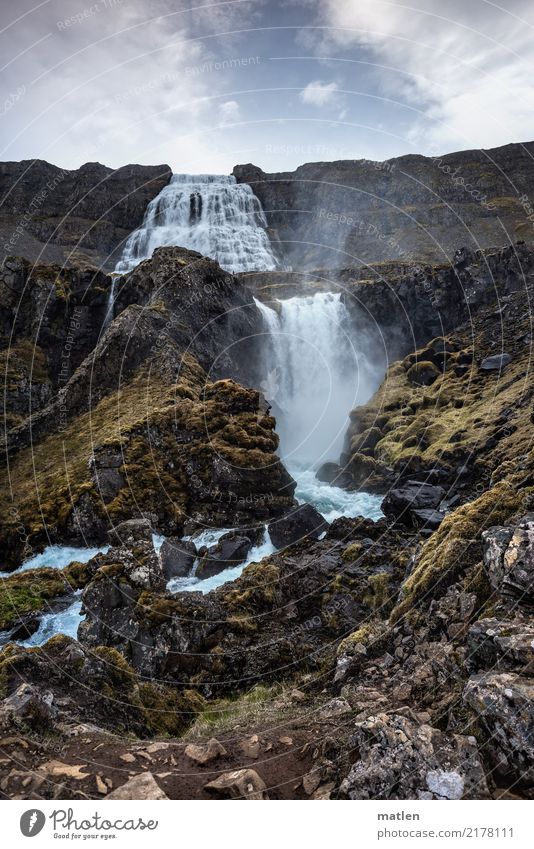 der kleine Fotograf maskulin 1 Mensch 30-45 Jahre Erwachsene Natur Landschaft Pflanze Luft Wasser Wassertropfen Himmel Wolken Horizont Frühling Schönes Wetter