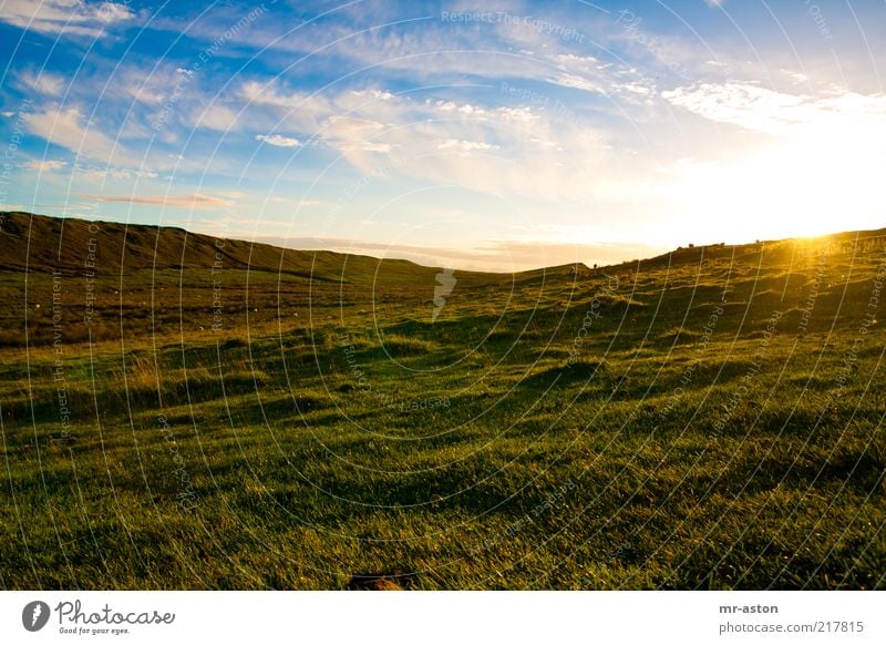 Sonnenuntergang Ferne Freiheit Natur Landschaft Pflanze Erde Himmel Wolken Horizont Sonnenaufgang Sonnenlicht Herbst Schönes Wetter Gras Wiese Hügel alt