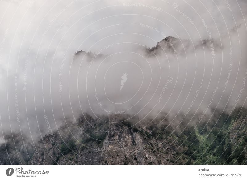 Nebel im Gebirge Wolken Alpen Berge Fels Steine Wald Abhang Hochnebel grau Stimmung Berge u. Gebirge Natur Außenaufnahme Gipfel Landschaft Felsen Himmel