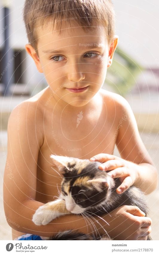 Ein Junge, der mit einem Kätzchen aufwirft Sommer Kind Freundschaft Kindheit Tier Wärme Pelzmantel Haustier Katze Liebe Zusammensein heiß klein niedlich