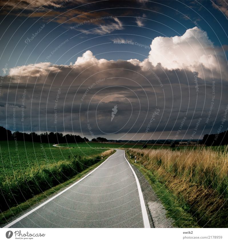 Nach Coblenz Umwelt Natur Landschaft Himmel Wolken Horizont Schönes Wetter Gras Sträucher Feld Lausitz Sachsen Deutschland Verkehr Verkehrswege Straße leuchten