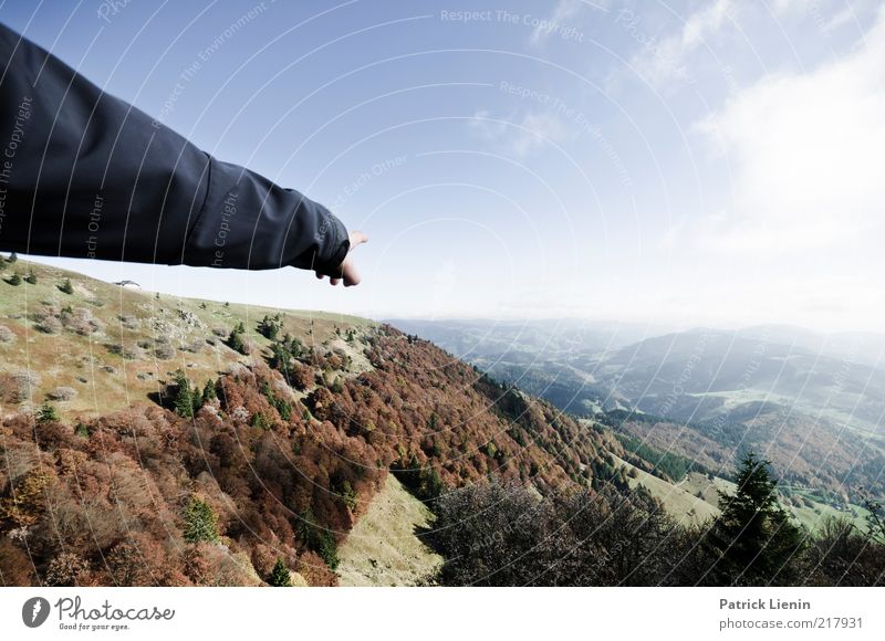 show me the world Umwelt Natur Landschaft Urelemente Luft Himmel Wolken Herbst Klima Wetter Schönes Wetter Wind Baum Wald Hügel Berge u. Gebirge Arme