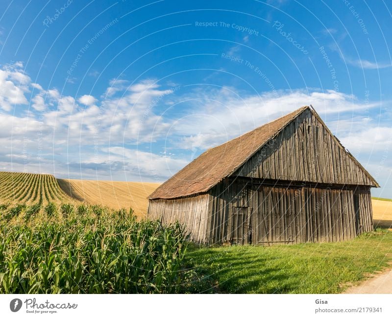 Scheune nimmt spätes Sonnenbad Ferien & Urlaub & Reisen Tourismus Ausflug Fahrradtour Sommerurlaub wandern Radurlaub Kultur Landleben Landwirtschaft Natur