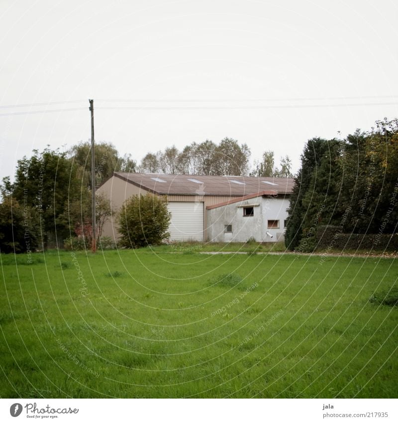 unsere kleine farm Natur Himmel Herbst Pflanze Baum Gras Sträucher Haus Bauwerk Gebäude Bauernhof trist grau grün weiß Farbfoto Gedeckte Farben Außenaufnahme