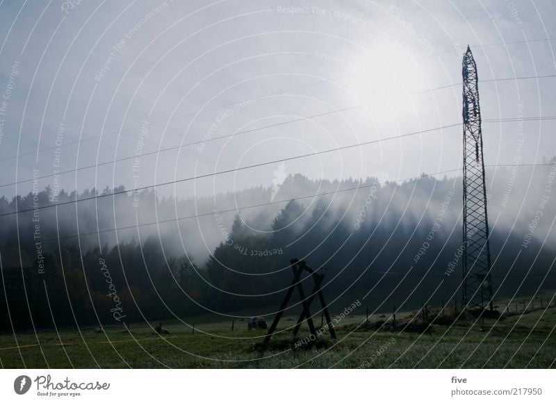 going am wilden kaiser Umwelt Natur Landschaft Himmel Wolken Herbst Wetter Nebel Pflanze Baum Grünpflanze Wiese Feld Wald Hügel Alpen kalt Strommast Farbfoto