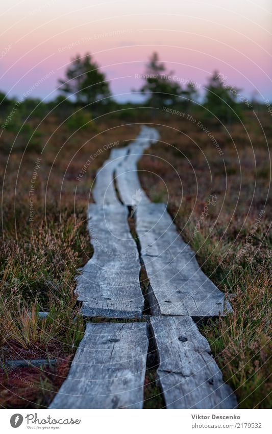 Weg zum Horizont von den Brettern schön Ferien & Urlaub & Reisen Tourismus Sommer Strand Meer Natur Landschaft Erde Sand Himmel Wolken Baum Gras Küste Brücke