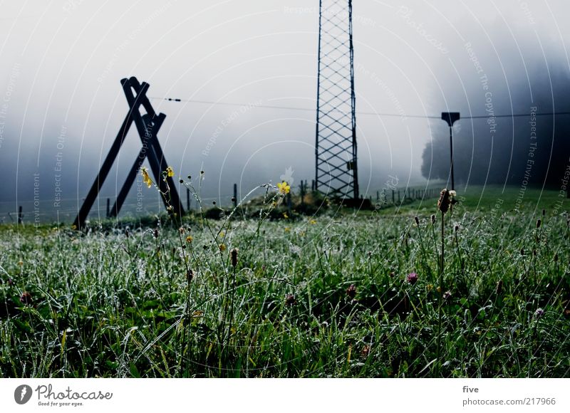 österreichische alpenluft Umwelt Natur Landschaft Wassertropfen Himmel Wolken Herbst Wetter schlechtes Wetter Nebel Wiese Feld Hügel Alpen kalt Spielplatz