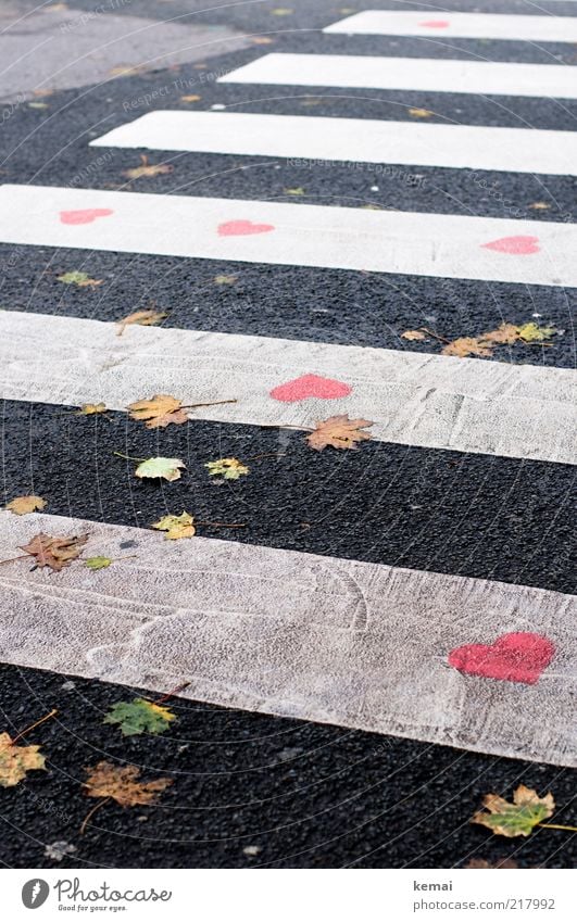 Herzlicher Überweg Herbst Blatt Verkehrswege Fußgänger Straße Straßenkreuzung Wege & Pfade Fußgängerübergang Zebrastreifen Asphalt schön rosa schwarz weiß Glück