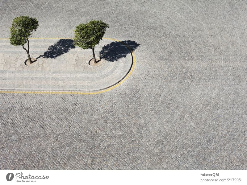 Umweltschutz? Kunst ästhetisch Zufriedenheit Baum 2 grün Park Kopfsteinpflaster grau Beton Natur Orangenbaum Design harmonisch Kontrast Gegenteil Widerspruch