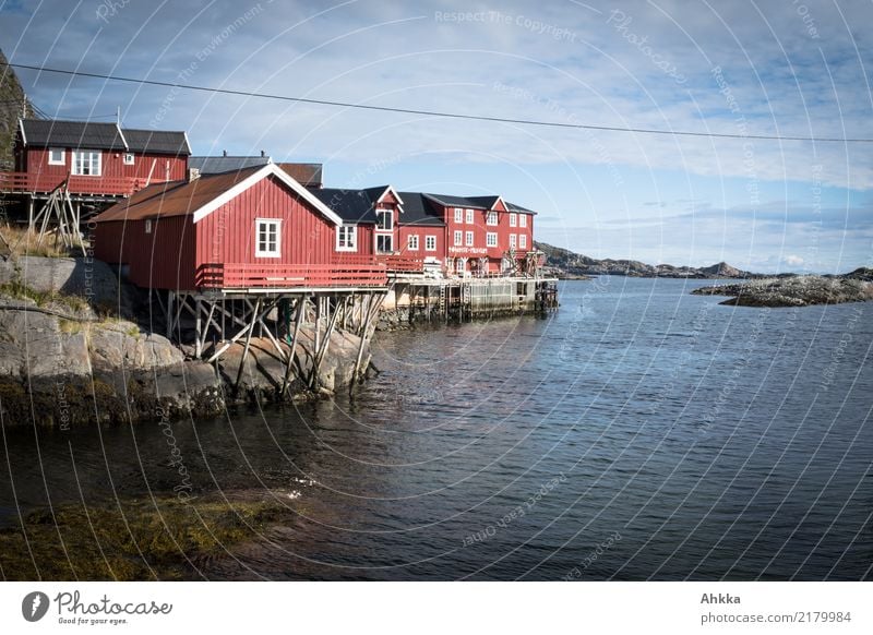 Rorbuer in Å, Lofoten harmonisch Ferien & Urlaub & Reisen Ausflug Abenteuer Ferne Sommerurlaub Natur Urelemente Schönes Wetter Küste Meer Polarmeer Fischerdorf