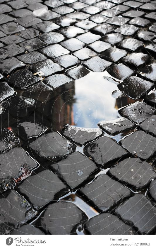 Kopf-Stein-Bild. Wasser einfach blau grau schwarz weiß Pflastersteine Pflasterweg Pfütze Farbfoto Außenaufnahme Menschenleer Tag Reflexion & Spiegelung