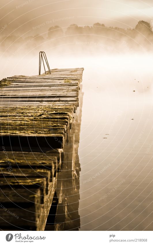 am ende der zeit Umwelt Natur Urelemente Wasser Herbst Nebel Seeufer Mecklenburg-Vorpommern Holz Fernweh ruhig Morgen Holzbrett Leiter Wasserspiegelung Steg