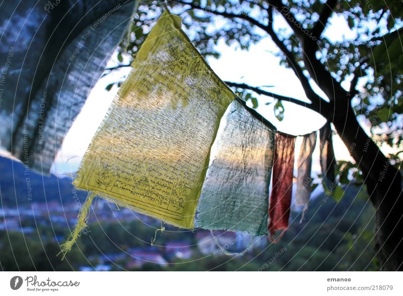 wind prayer Freiheit Natur Landschaft Bewegung mehrfarbig gelb Mitgefühl Güte Volksglaube Religion & Glaube Gebetsfahnen Wind aufhängen Schnur Baum flattern