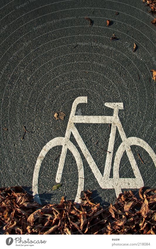 Radler Fahrrad Herbst Blatt Verkehr Straße Zeichen Schilder & Markierungen Verkehrszeichen lustig Fahrradweg Asphalt Grafische Darstellung Fahrbahn diagonal