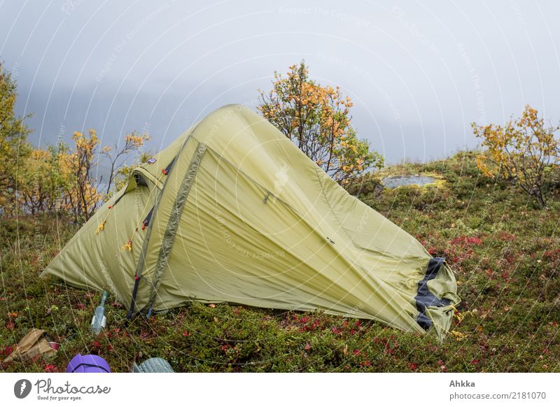 Zelt in Sturm und Regen in einer Herbstlandschaft Ferien & Urlaub & Reisen Abenteuer Camping Natur schlechtes Wetter Unwetter Wind Skandinavien kaputt wild grün