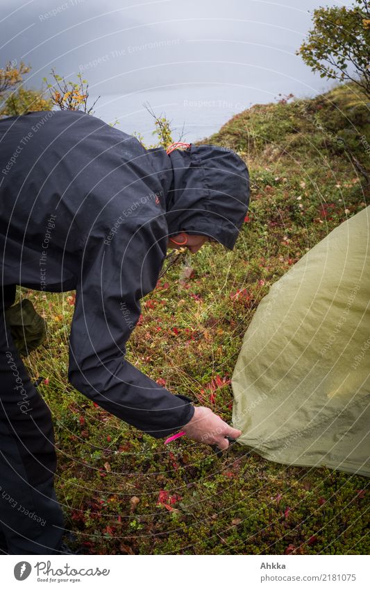 Junger Mann kämpft mit einem Zelt in Sturm und Regen Ferien & Urlaub & Reisen Abenteuer Ferne Camping Jugendliche Natur Urelemente Wasser schlechtes Wetter