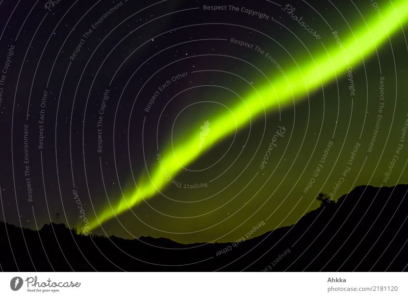 Nordlicht teilt den Himmel Ferien & Urlaub & Reisen Abenteuer Nachthimmel Stern Berge u. Gebirge Lofoten Linie leuchten ästhetisch dunkel fantastisch gigantisch