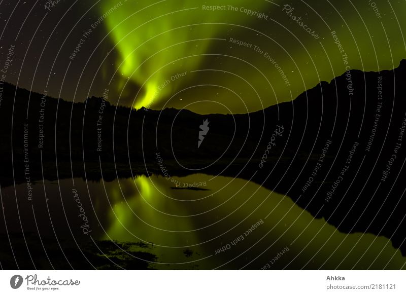 Nordlicht spiegelt sich im Fjord Nachthimmel Stern Berge u. Gebirge Bucht Lofoten außergewöhnlich dunkel exotisch fantastisch gigantisch glänzend wild grün