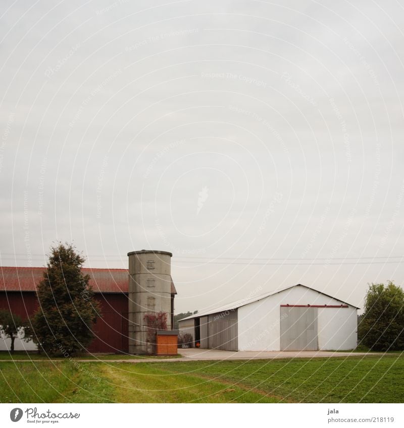 landwirtschaftsbetrieb Himmel Baum Gras Feld Dorf Bauwerk Gebäude Halle Bauernhof Silo trist Farbfoto Außenaufnahme Menschenleer Textfreiraum oben