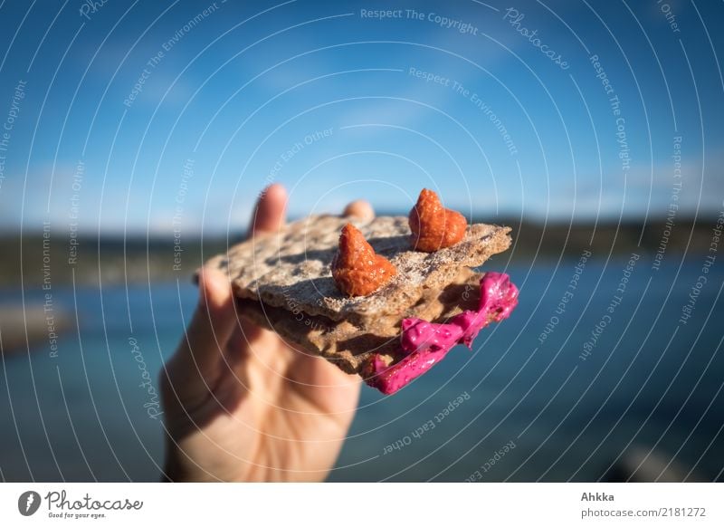 Knäckebrot mit Gesicht vor Sommerlandschaft Lebensmittel Ernährung Bioprodukte Vegetarische Ernährung Slowfood Fingerfood Freude Hand Schönes Wetter