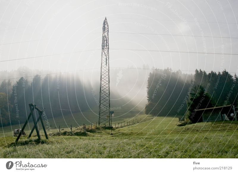 die sonne kommt wieder Umwelt Natur Landschaft Himmel Wolken Herbst Schönes Wetter Nebel Pflanze Baum Gras Blatt Grünpflanze Wiese Feld Wald Hügel Alpen kalt