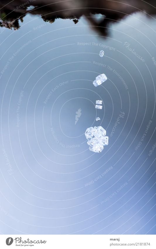 Kristalle am seidenen Faden Winter Eis Frost Schnee Eiskristall Spinnennetz Schneekristall hängen außergewöhnlich authentisch einfach elegant Erfolg