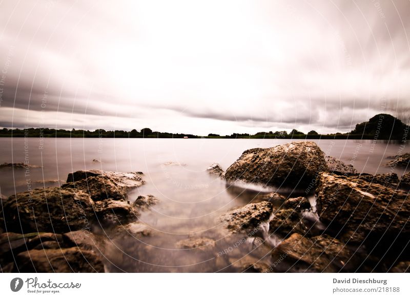 Shannonriver in storm Natur Landschaft Wasser Himmel Wolken Gewitterwolken Herbst schlechtes Wetter Pflanze Felsen Flussufer braun weiß Stein Republik Irland