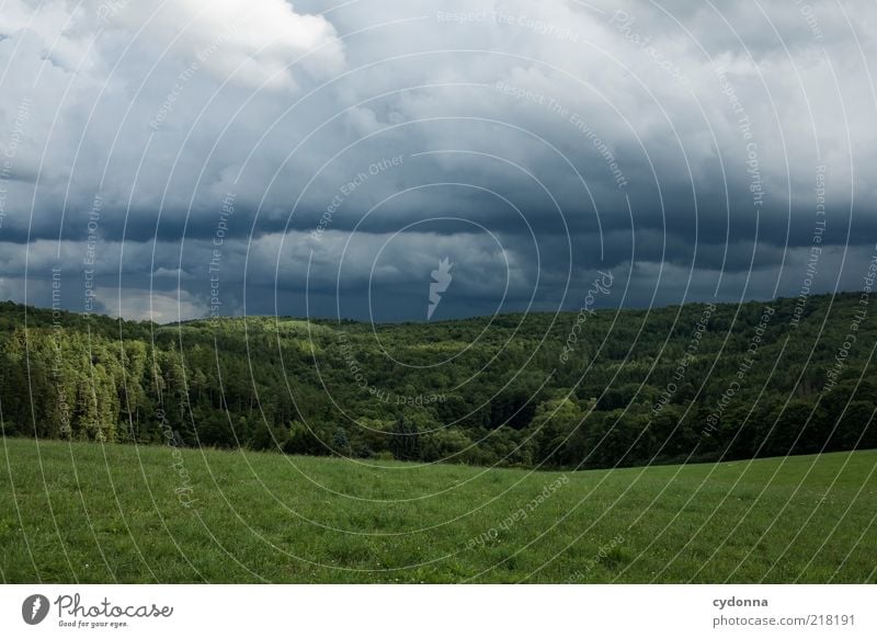 Schöne Gefahr ruhig Ausflug Ferne Umwelt Natur Landschaft Gewitterwolken Unwetter Wiese Wald einzigartig Horizont schön Vergänglichkeit Wandel & Veränderung