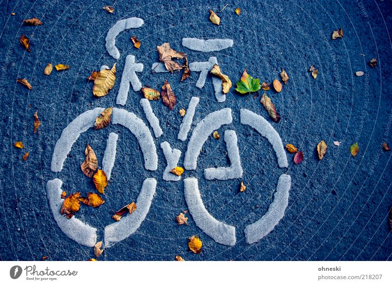 Radeln Herbst Blatt Verkehrswege Personenverkehr Straße Wege & Pfade Zeichen Schilder & Markierungen Verkehrszeichen Bewegung Farbfoto Abend Vogelperspektive