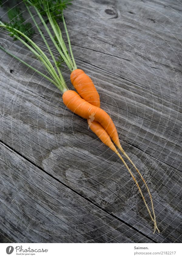 Zwei Möhren liebe Garten gärtnern Gemüse holz Linien und Formen Grün Gewächs gesunde ernährung Stadt Essen Nahrung zusammen zwei zweisamkeit Korkenzieher paar