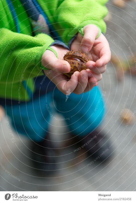 Überraschungsei harmonisch Wohlgefühl Zufriedenheit Sinnesorgane Erholung ruhig Meditation Kleinkind Mädchen Junge Kindheit 1 Mensch 3-8 Jahre drehen Duft braun