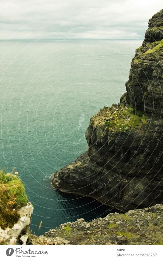 Steilküste Meer Insel Umwelt Natur Landschaft Himmel Wolken Horizont Sommer Klima Wetter Felsen Küste authentisch natürlich Føroyar steil Klippe Aussicht