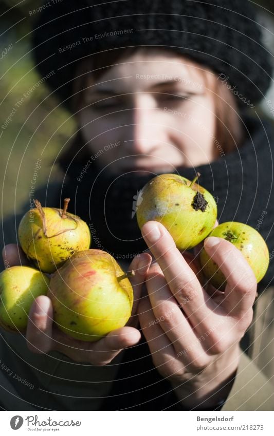 handvoll Frucht Apfel Ernährung Bioprodukte Vegetarische Ernährung Leben Wohlgefühl Junge Frau Jugendliche 1 Mensch Natur Herbst Garten Mütze Gesundheit