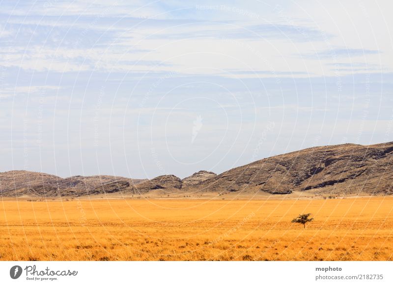 Weite pur Ferien & Urlaub & Reisen Tourismus Abenteuer Ferne Freiheit Safari Sommerurlaub Umwelt Natur Landschaft Wolken Horizont Klima Schönes Wetter Wärme