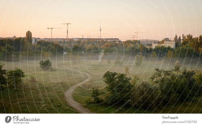 Entschuldigen Sie, ist das der Sonderblick aus Pankow? Umwelt Natur Landschaft Baum Gras Sträucher Häusliches Leben Berlin Berliner Fernsehturm Wege & Pfade